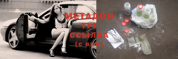 PSILOCYBIN Алзамай