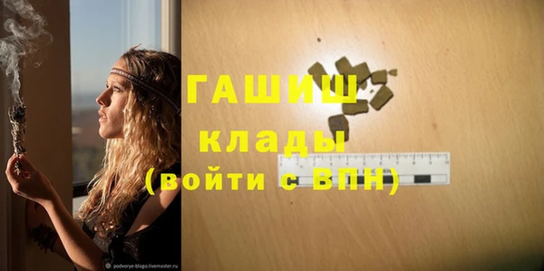 PSILOCYBIN Алзамай
