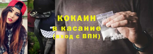 PSILOCYBIN Алзамай