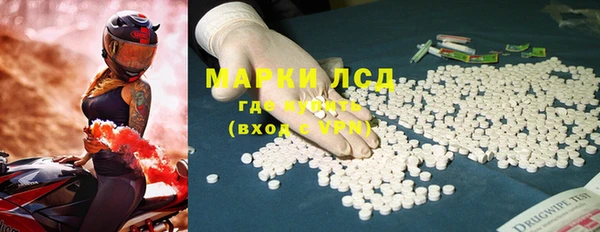 PSILOCYBIN Алзамай