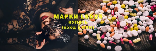 PSILOCYBIN Алзамай