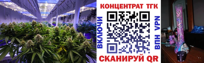 omg зеркало  где найти наркотики  Боровичи  Дистиллят ТГК жижа 