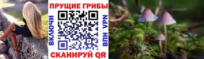 Галлюциногенные грибы MAGIC MUSHROOMS  Боровичи 