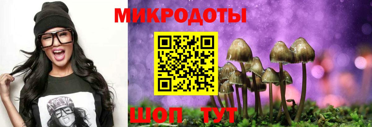 Боровичи  купить   Псилоцибиновые грибы мицелий  Вход с VPN  Галлюциногенные грибы Psilocybe 